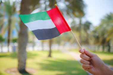 Corniche 'den Abu Dabi Parkı' na karşı küçük bir BAE bayrağı taşıyan kadın eli. Abu Dabi 'de gezinti. Birleşik Arap Emirlikleri, Orta Doğu. BAE ulusal kutlama ruhunun fotoğrafı..