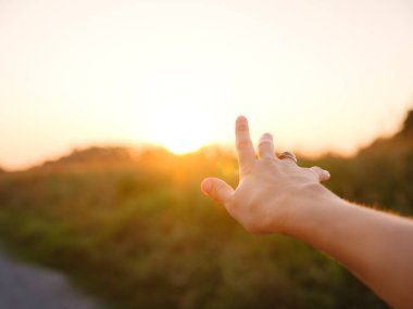 Yumuşak akşam ışığı altın tarlada yıkanırken kadının eli yavaşça uzun otların arasında hareket ederek özgürlük, doğa ve sükunet hissini yakalıyor. Sıcak günbatımı renkleri huzurlu, rüya gibi kırsal atmosfer yaratır..