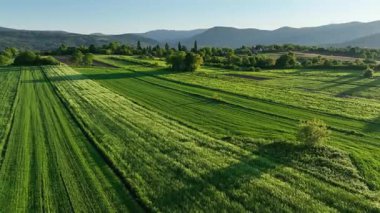Ortaçağ Dreznik Grad yakınlarında yeşil çayırlar ve tepeler. Dreznik şehri yakınlarındaki geniş yeşil alanlar ve kırsal yolların insansız hava aracı görüntüsü. Canlı manzara, bahar büyümesi, Hırvat köylerinde tipik bir barış duygusu.