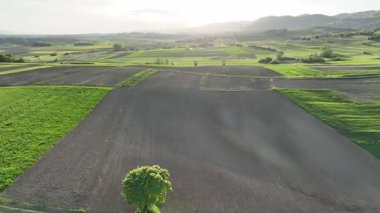 Arial manzaralı yeşil tepeler ve Hırvatistan kırsalında yuva yapmış köyler. İlkbahar manzarayı soluyor, otlaklar çiçek açmaya başlıyor geleneksel evler manzaralı vadiler ve yamaçlara saçılmış.
