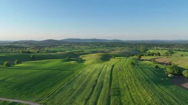 Ortaçağ Dreznik Grad yakınlarında yeşil çayırlar ve tepeler. Dreznik şehri yakınlarındaki geniş yeşil alanlar ve kırsal yolların insansız hava aracı görüntüsü. Canlı manzara, bahar büyümesi, Hırvat köylerinde tipik bir barış duygusu.