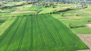 Arial manzaralı yeşil tepeler ve Hırvatistan kırsalında yuva yapmış köyler. İlkbahar manzarayı soluyor, otlaklar çiçek açmaya başlıyor geleneksel evler manzaralı vadiler ve yamaçlara saçılmış.