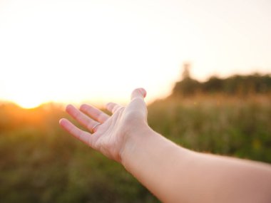 Yumuşak akşam ışığı altın tarlada yıkanırken kadının eli yavaşça uzun otların arasında hareket ederek özgürlük, doğa ve sükunet hissini yakalıyor. Sıcak günbatımı renkleri huzurlu, rüya gibi kırsal atmosfer yaratır..