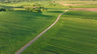 Dreznik şehri yakınlarındaki geniş yeşil tarlalarda ve kırsal yollarda insansız hava aracı görüntüsü. Canlı manzara, bahar büyümesi, Hırvat köylerinde tipik bir barış duygusu.