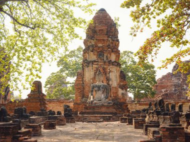 Ayutthaya 'nın antik Wat Mahathat tapınağı ve ikonik simgeler, UNESCO Dünya Mirası sahasının huzurlu atmosferinde karmaşık mimari, tarihi kalıntılar ve kültür mirası sergileniyor..