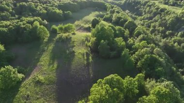Ortaçağ Dreznik Grad yakınlarında yeşil çayırlar ve tepeler. Dreznik şehri yakınlarındaki geniş yeşil alanlar ve kırsal yolların insansız hava aracı görüntüsü. Canlı manzara, bahar büyümesi, Hırvat köylerinde tipik bir barış duygusu.