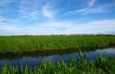Yeşil çayır ve kanal manzarası Hollanda 'da berrak su ile