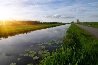 Yeşil çayır ve kanal manzarası Hollanda 'da berrak su ile