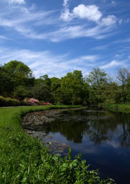 Şehir parkındaki göl mavi gökyüzü arka planında