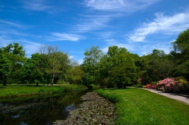 Şehir parkındaki göl mavi gökyüzü arka planında