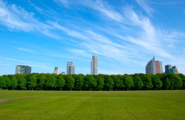 Lahey 'de mavi gökyüzü arka planı üzerine şehir parkı (Den Haag)