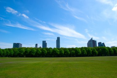 Lahey 'de mavi gökyüzü arka planı üzerine şehir parkı (Den Haag)