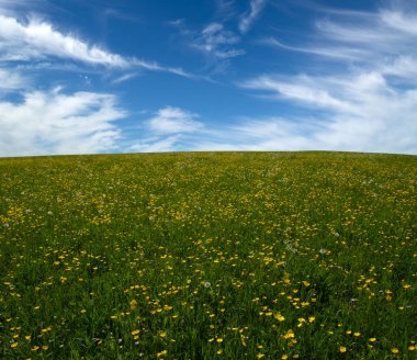 Yeşil çayır manzarası ve gökyüzündeki bulutlar 