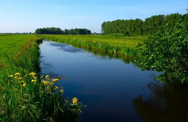 Landskapsgrön Äng Och Kanal Med Klart Vatten Nederländerna — Stockfoto