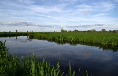 Yeşil çayır ve kanal manzarası Hollanda 'da berrak su ile
