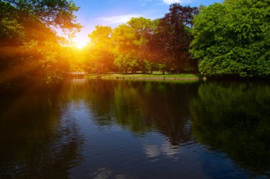 Şehir parkındaki göl mavi gökyüzü arka planında