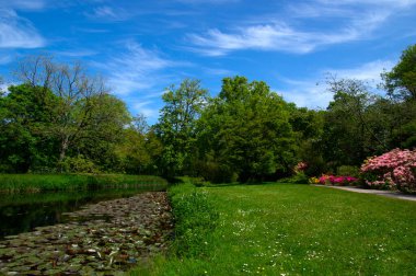 Şehir parkındaki göl mavi gökyüzü arka planında