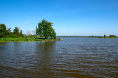 Mavi suları ve ağaçları olan bir göl manzarası