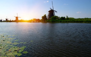 Hollanda 'da deniz kenarında güneşli bir günde yel değirmeni