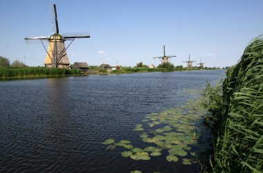 Hollanda 'da deniz kenarında güneşli bir günde yel değirmeni