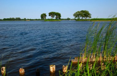 Manzara sabah gölü ve bahar sahnesi Sahilde ağaçlarla dolu nehir.