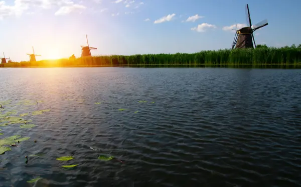 Windmolen Een Zonnige Dag Nederland Aan Het Water — Stockfoto