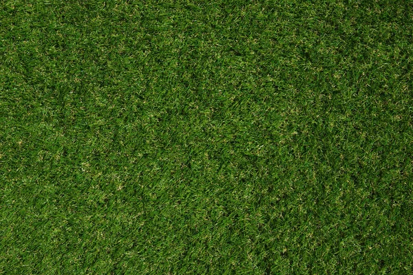 Green Grass Background Top View Lawn Texture — Stock Photo, Image