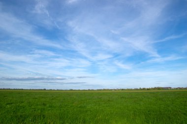 Yeşil çayır manzarası ve gökyüzündeki bulutlar 