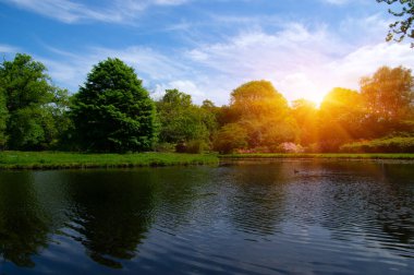 Şehir parkındaki göl mavi gökyüzü arka planında