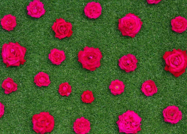 緑の草の背景にあるバラの花 クローズアップバラのテクスチャ — ストック写真
