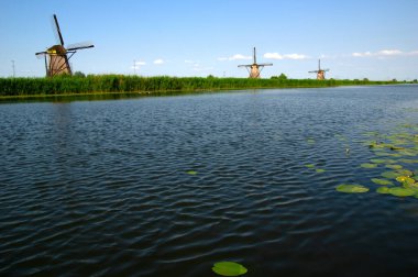 Hollanda 'da deniz kenarında güneşli bir günde yel değirmeni