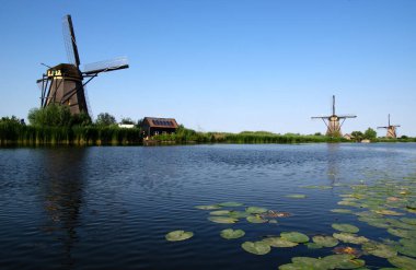 Hollanda 'da deniz kenarında güneşli bir günde yel değirmeni