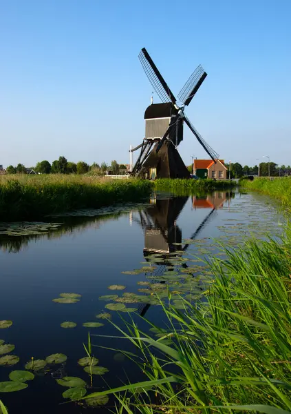 Moinho Vento Holandês Tradicional Dia Ensolarado Verão Nos Países Baixos Fotografia De Stock