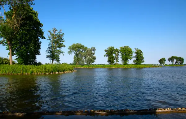 Landschaft Morgen See Und Frühling Szene Des Flusses Mit Bäumen lizenzfreie Stockfotos