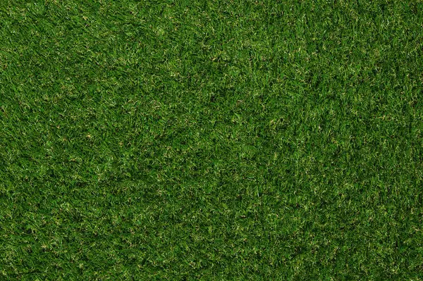 緑の草の背景とトップビュー芝生の質感 ストックフォト