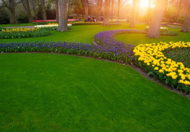 İlkbaharda parkta çiçekler