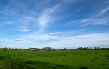 Yeşil çayır manzarası ve gökyüzündeki bulutlar 