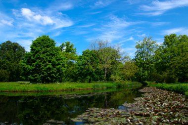 Şehir parkındaki göl mavi gökyüzü arka planında