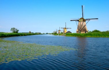 Hollanda 'da deniz kenarında güneşli bir günde yel değirmeni