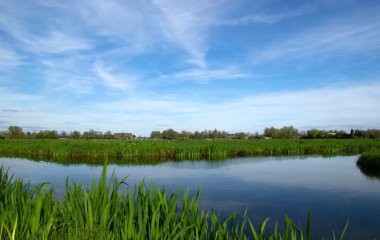 Yeşil çayır ve kanal manzarası Hollanda 'da berrak su ile