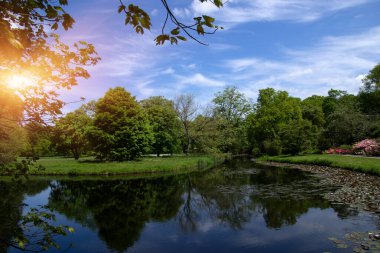 Şehir parkındaki göl mavi gökyüzü arka planında