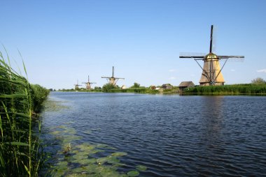 Hollanda 'da deniz kenarında güneşli bir günde yel değirmeni