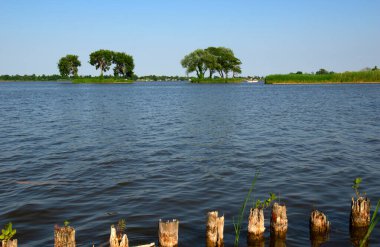 Manzara sabah gölü ve bahar sahnesi Sahilde ağaçlarla dolu nehir.