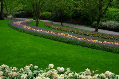Çiçek açan bahar çiçekleri ve yeşil çimenleri olan bahçe. 