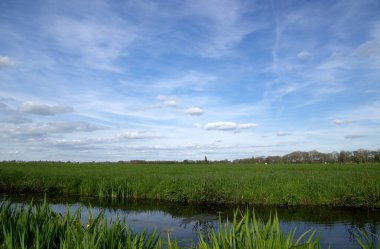Yeşil çayır ve kanal manzarası Hollanda 'da berrak su ile