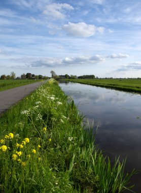 Yeşil çayır ve kanal manzarası Hollanda 'da berrak su ile
