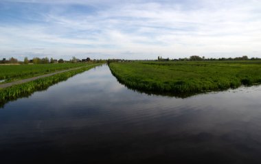 Yeşil çayır ve kanal manzarası Hollanda 'da berrak su ile
