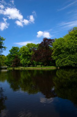 Şehir parkındaki göl mavi gökyüzü arka planında