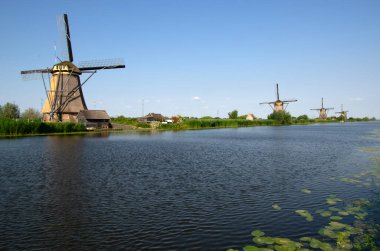 Hollanda 'da deniz kenarında güneşli bir günde yel değirmeni