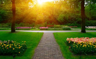 Botanik bahçesinde yeşil çimenler, bahar çiçekleri ve güneş ışığı olan bir bahçe taşı patikası.